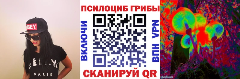 дарнет шоп Балтийск Псилоцибиновые грибы прущие грибы