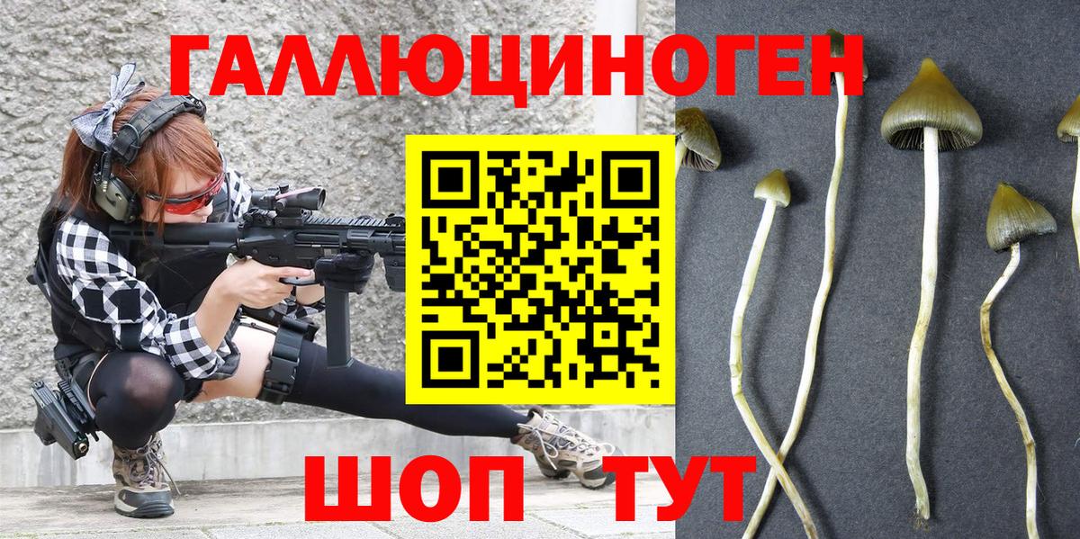 Псилоцибиновые грибы Cubensis Балтийск